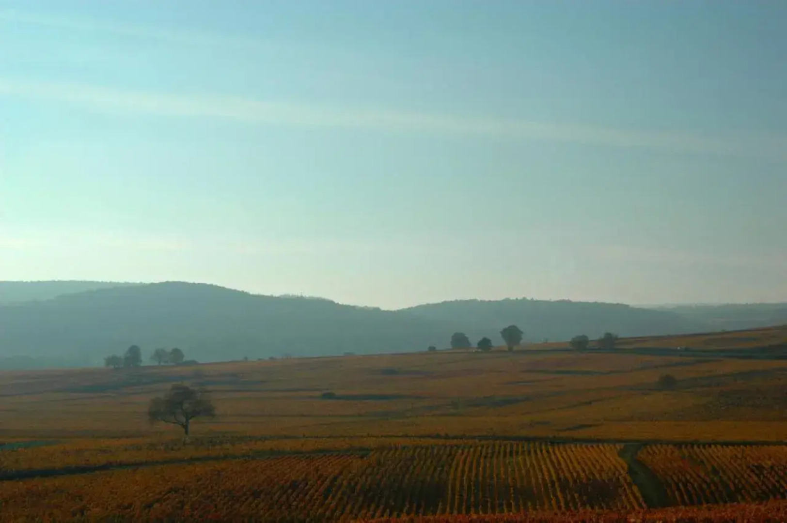 Les Chambres Buissonnieres