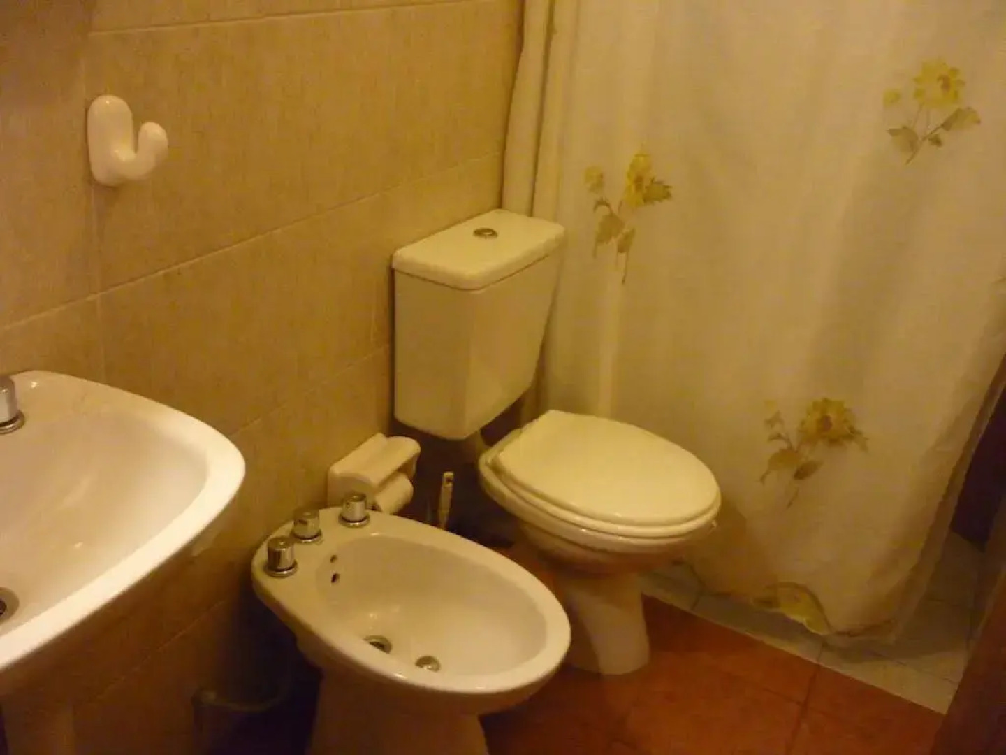 Olivos y Bodegas Cabañas