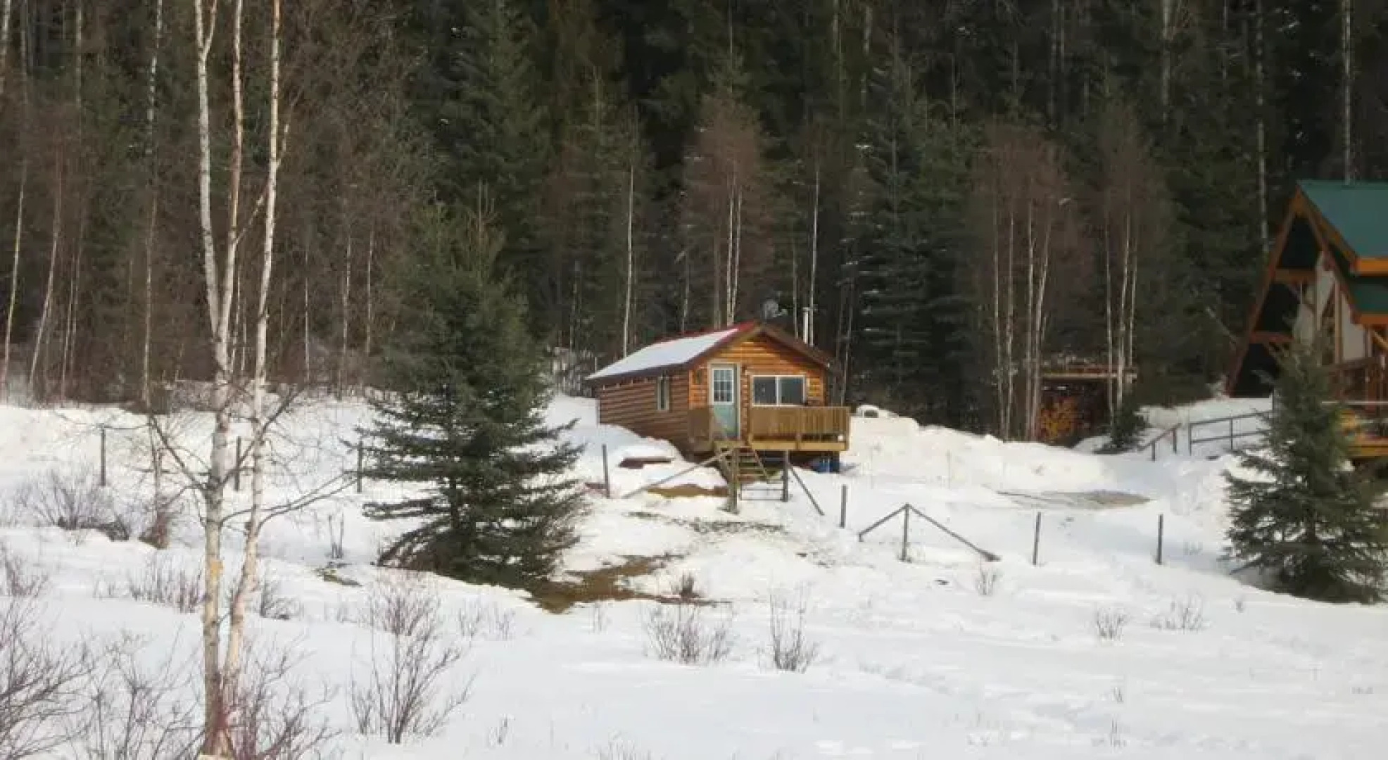 Bear Corner Adventures Bed & Bale