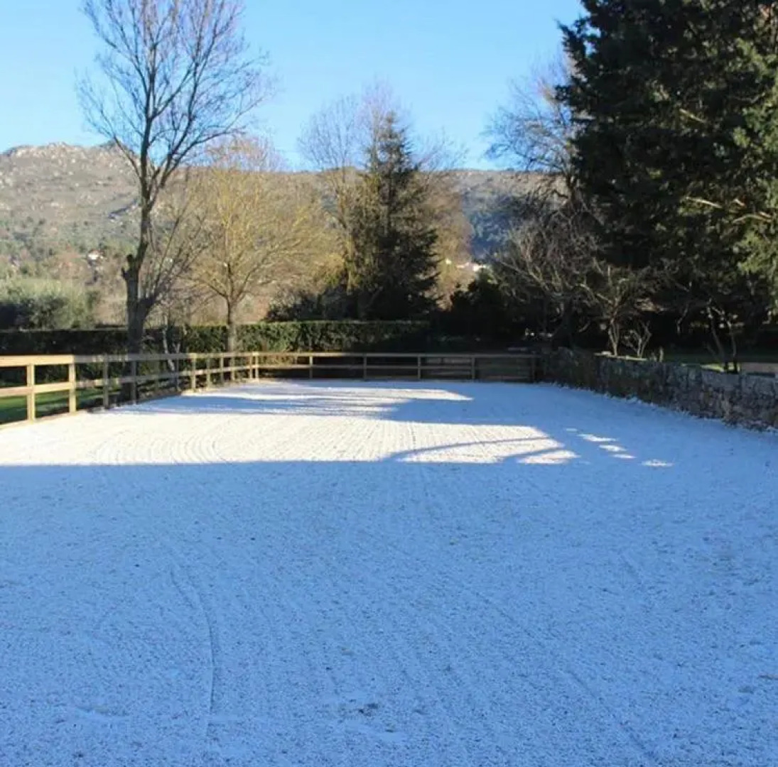 Agro-Turismo - Quinta do Pinheiro