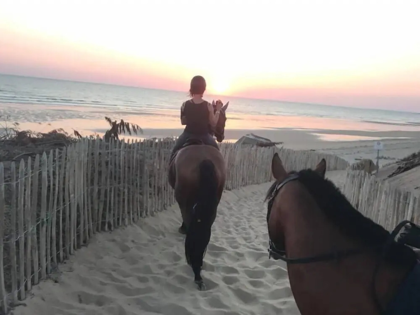 Domaine des Z'Ailés Les Roulottes