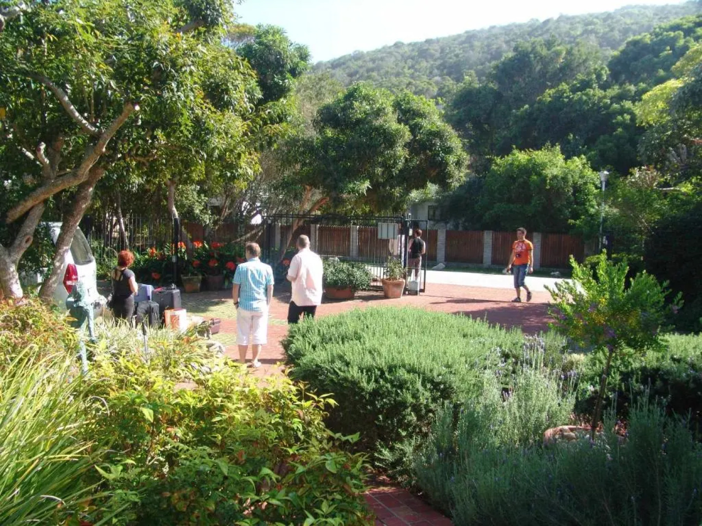 Serendipity Guest House and Restaurant