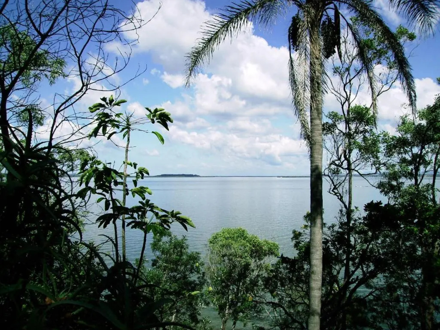 Coochiemudlo Island Seminara Apartments