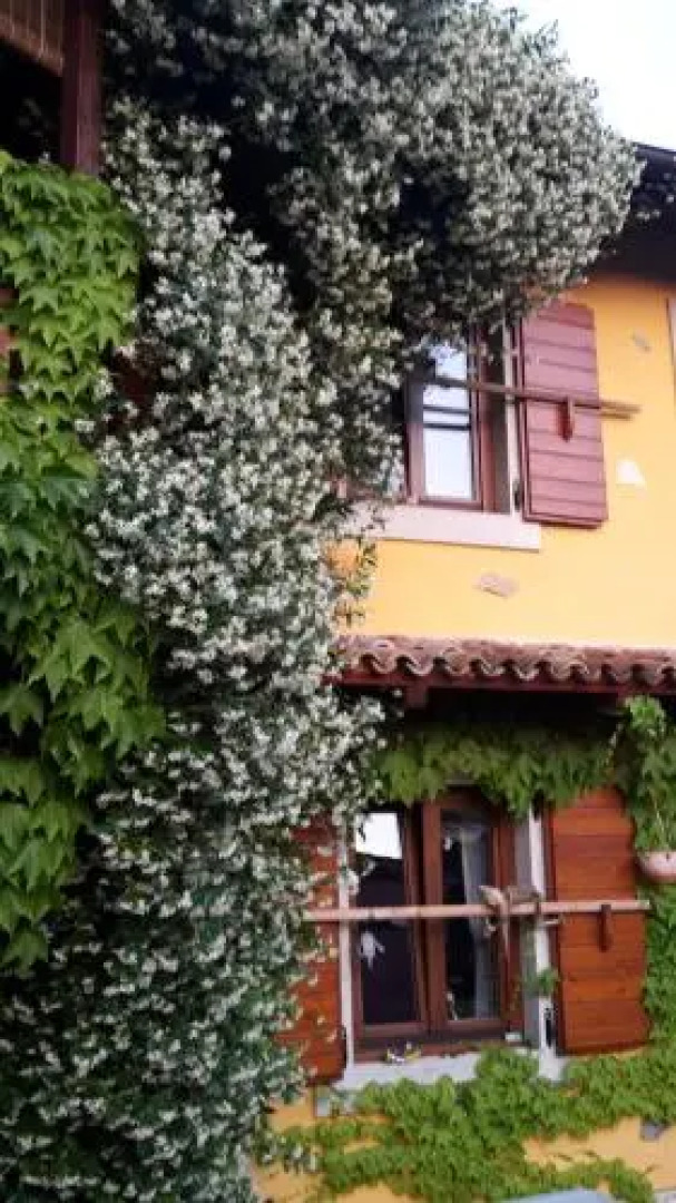 Rozina Vacation House