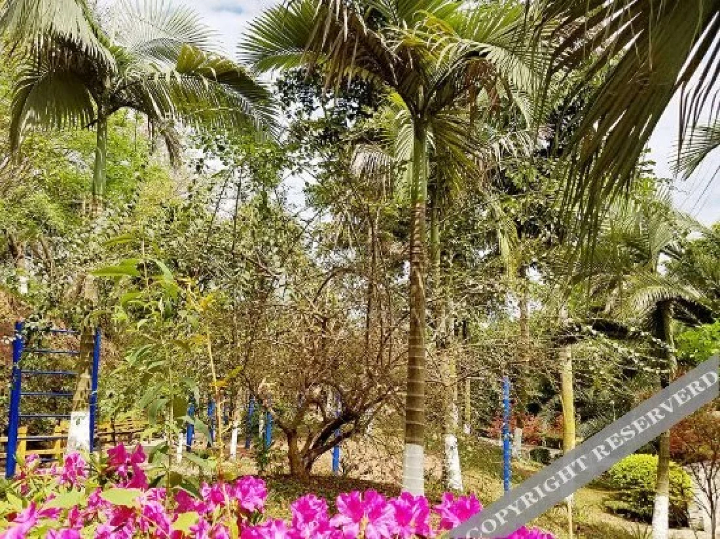 Shengli Liyuan Hotel