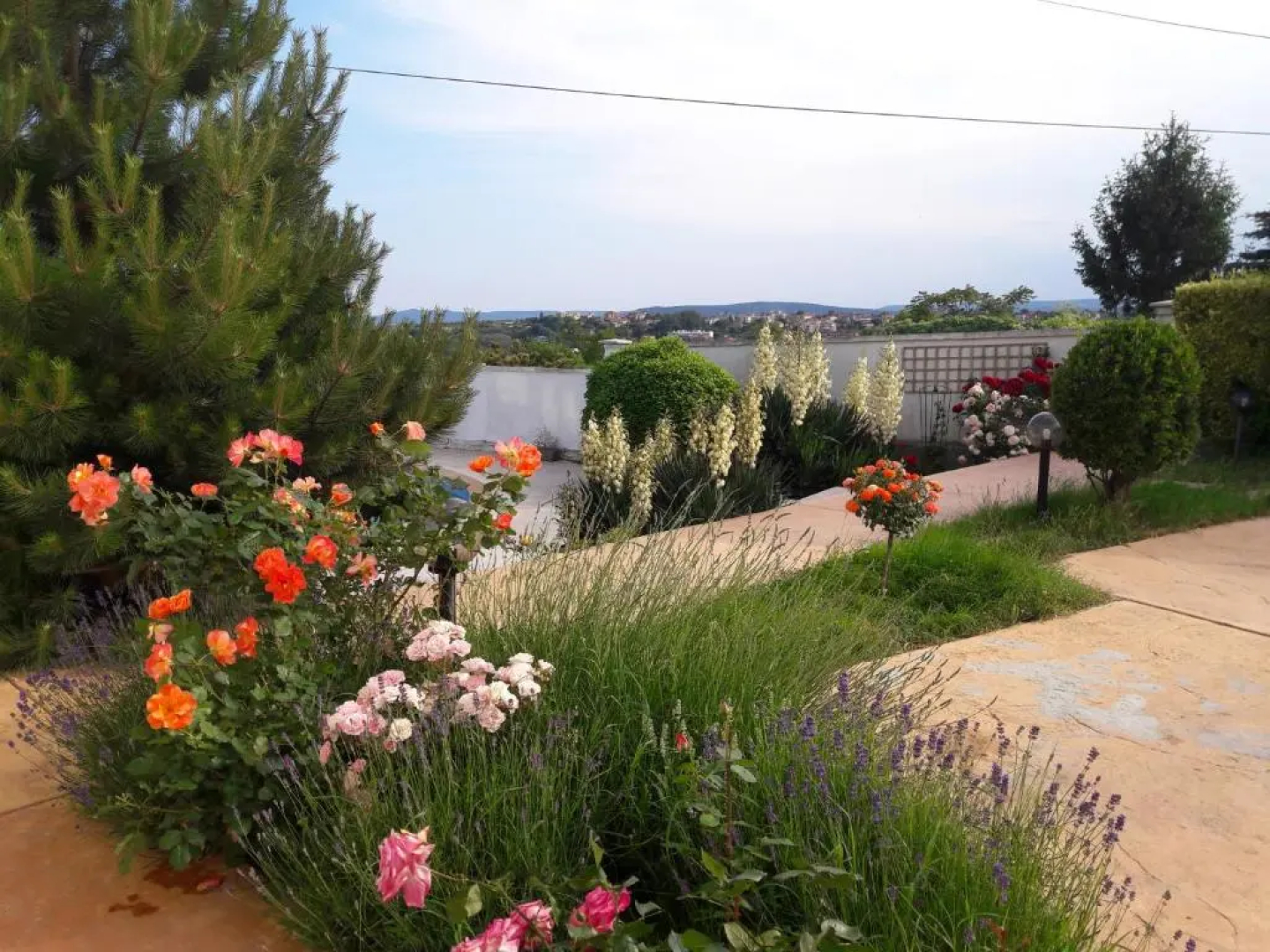 Villa Byala Grape House