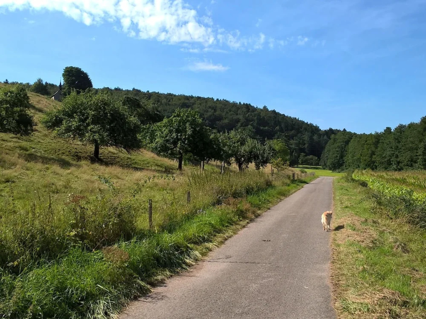 Pension Atelier Reinhart