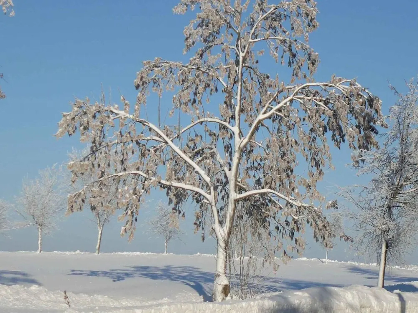 Family Getaway in Dankerode