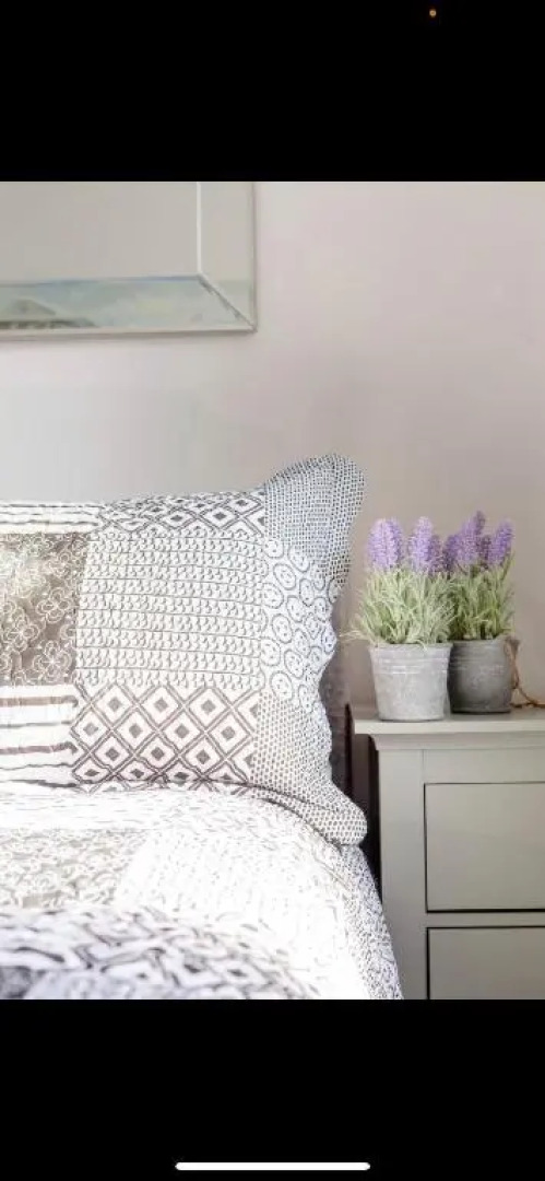 Driftwood Luxury Apartment