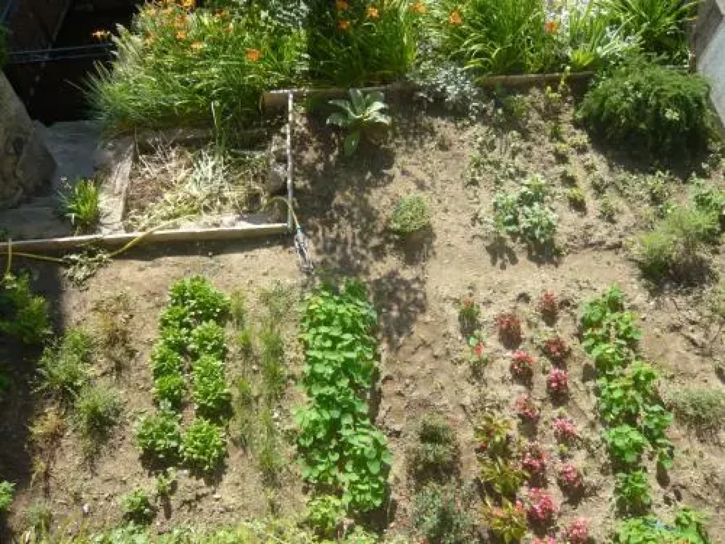 Hôtel Restaurant Les Touristes