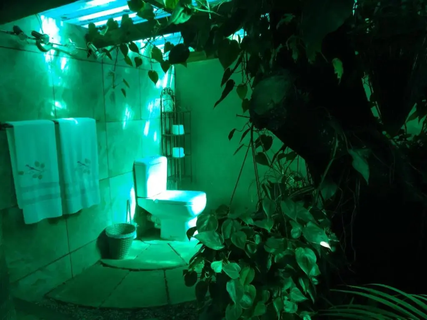 Waterglen Guest Lodge