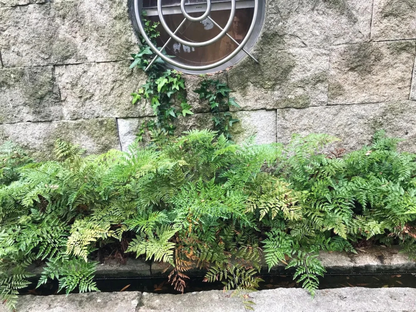 House With 2 Bedrooms in Guilhabreu, With Enclosed Garden and Wifi Near the Beach