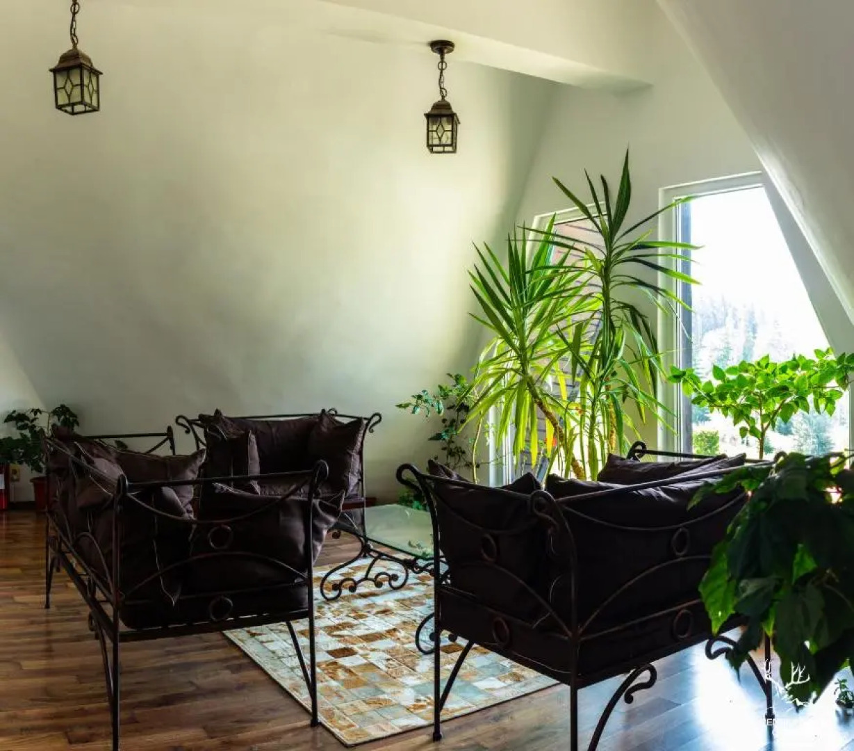 Pensiunea LIN COTA 1000