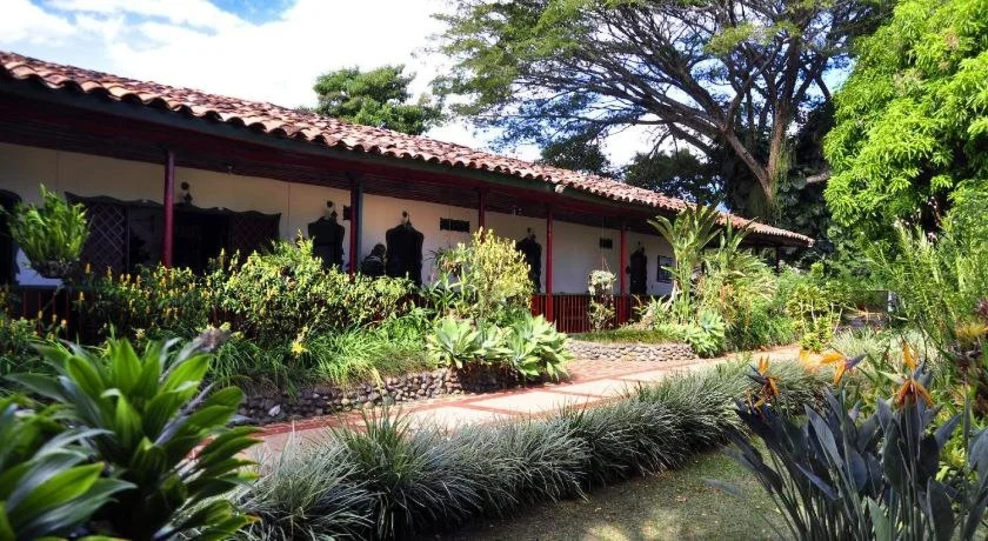 Finca Los Alamos