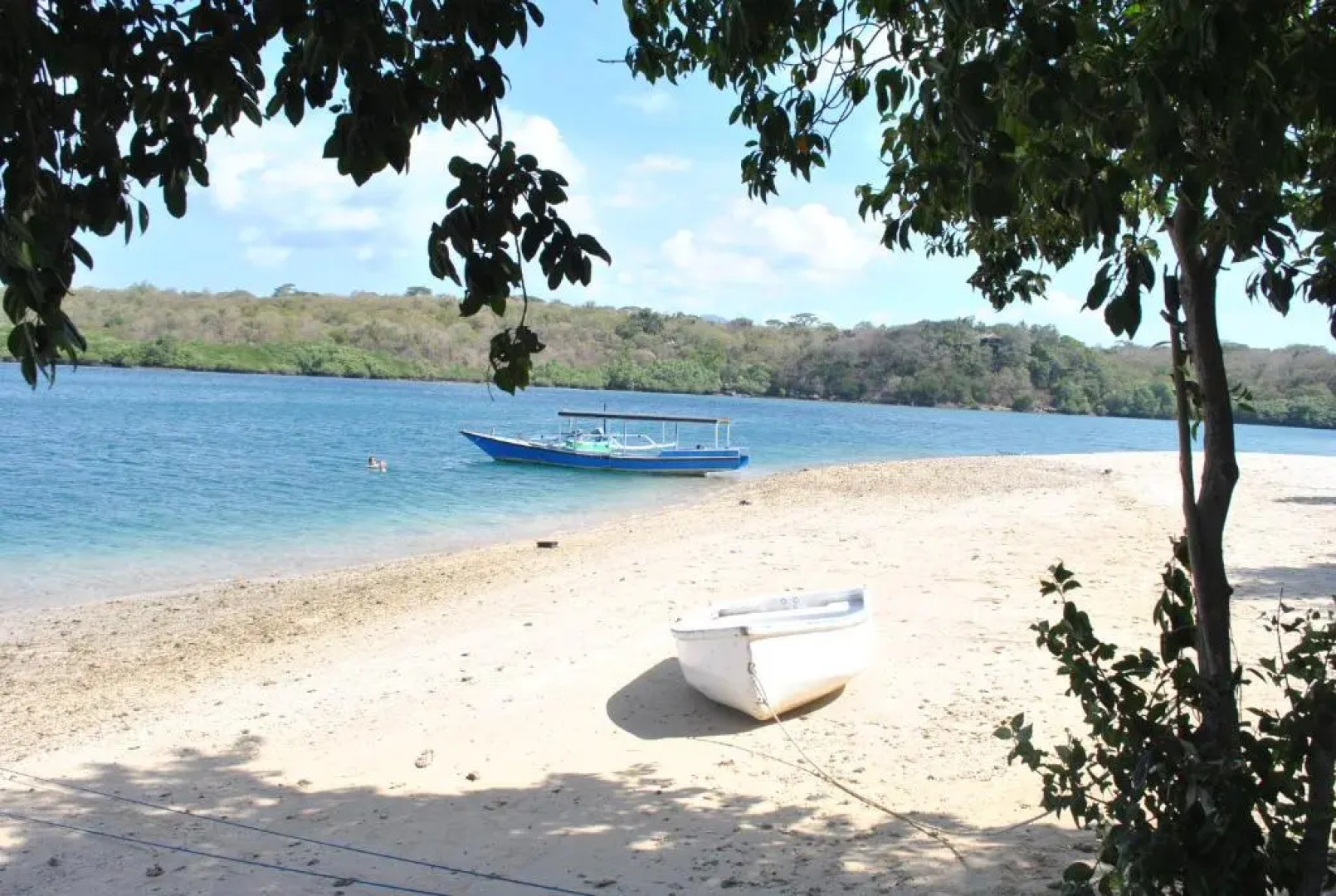 Yuda Menjangan Homestay