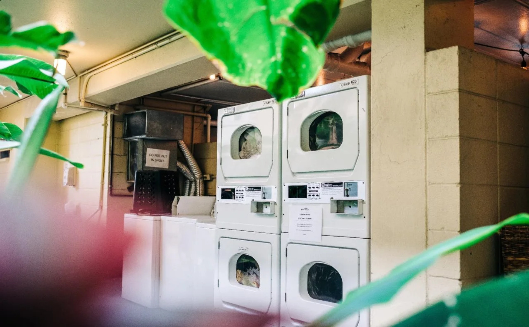 Waikiki Beachside Hostel