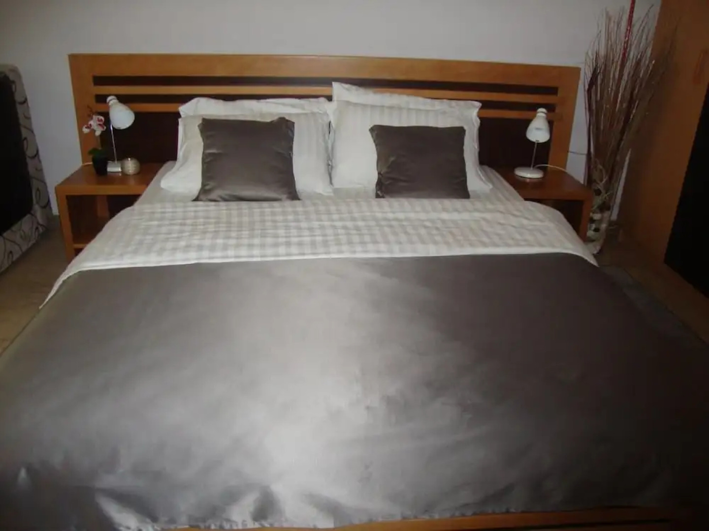 Vila Olivera Niska Banja