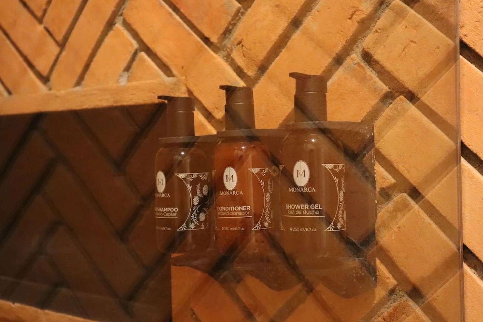 Esplendor by Wyndham San Luis Potosi