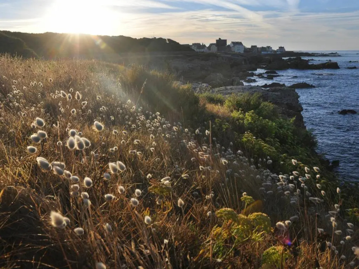 Gite Mesquer, 5 pièces, 7 personnes - FR-1-306-1147