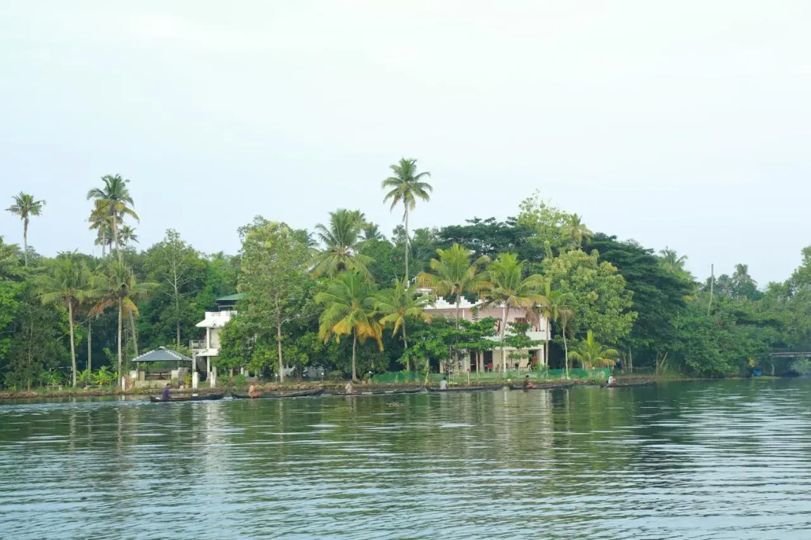 orchid lake view homestay