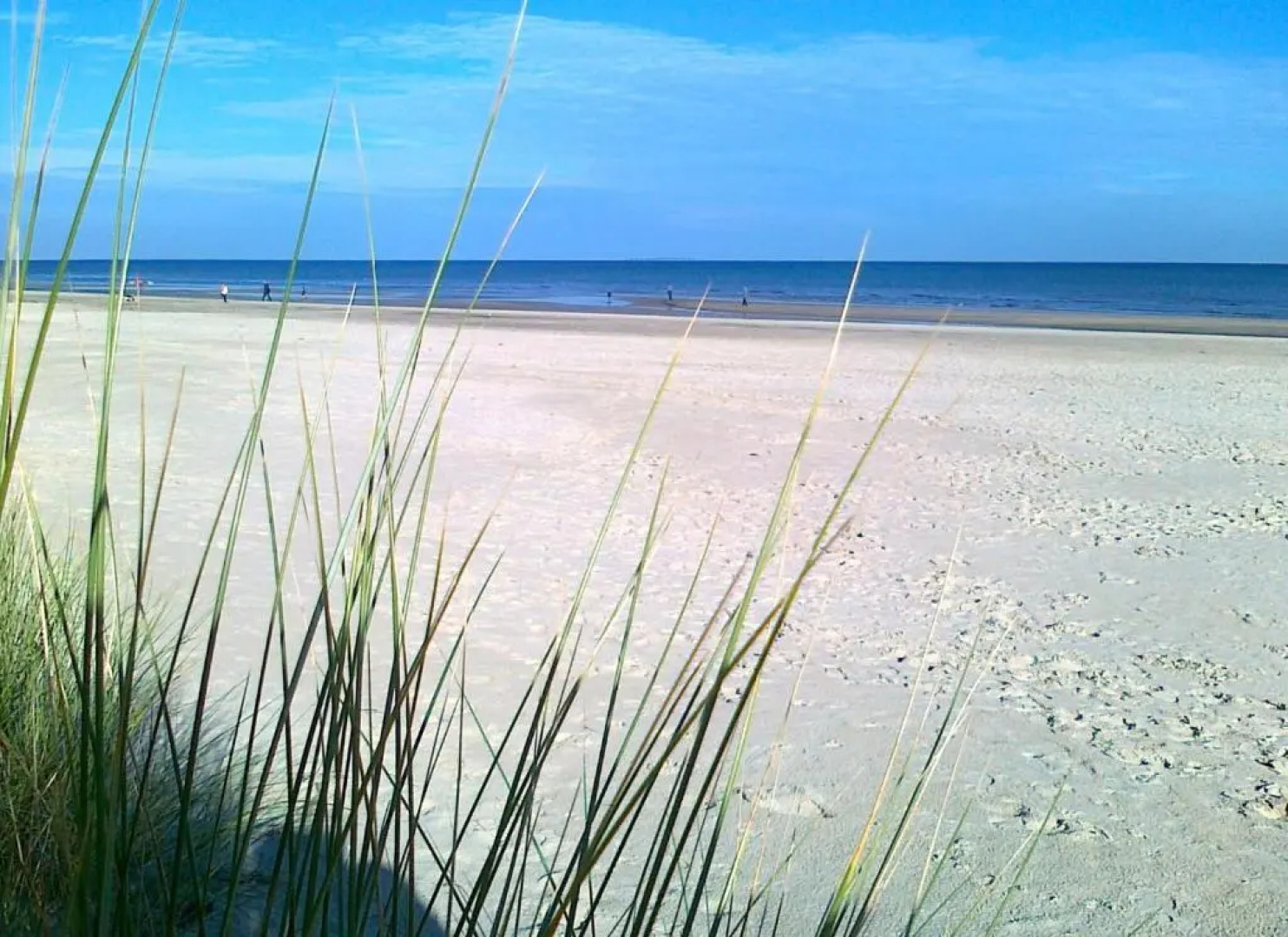 Dünenresidenz Karlshagen - Ferienwohnung Ginsterweg