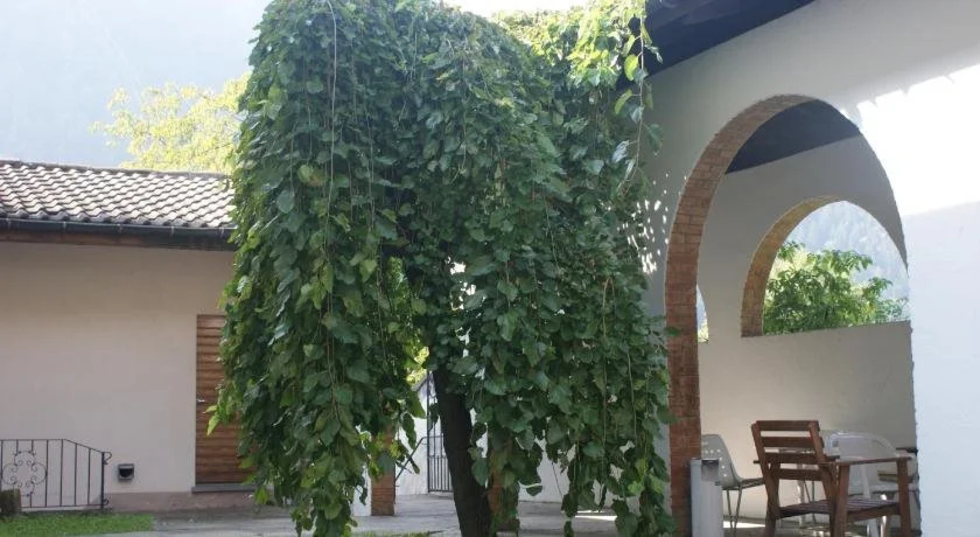 Ostello dei Cappuccini