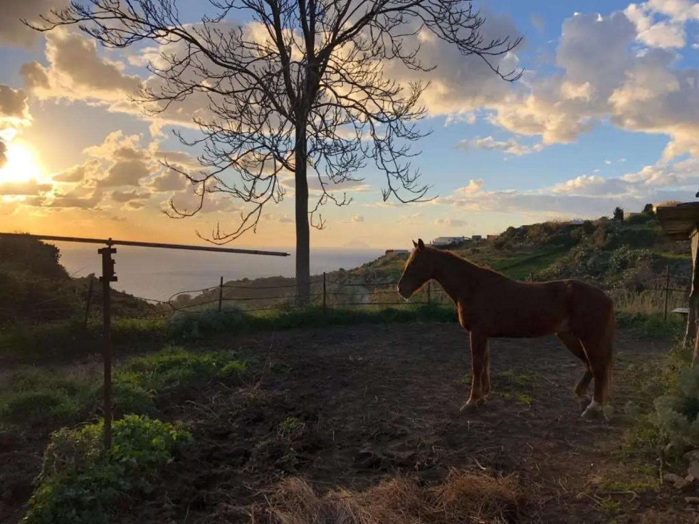 Agriturismo U Zu Peppino