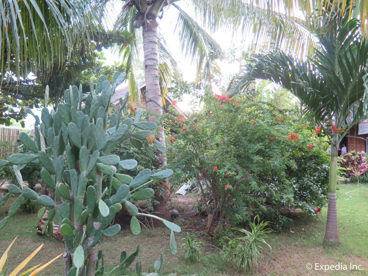 Mystic Divers Guesthouse