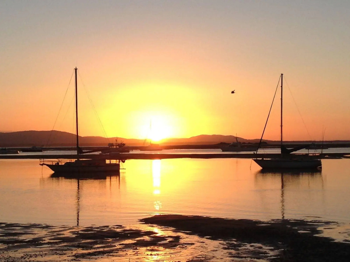 1770 Sovereign Lodge Resort