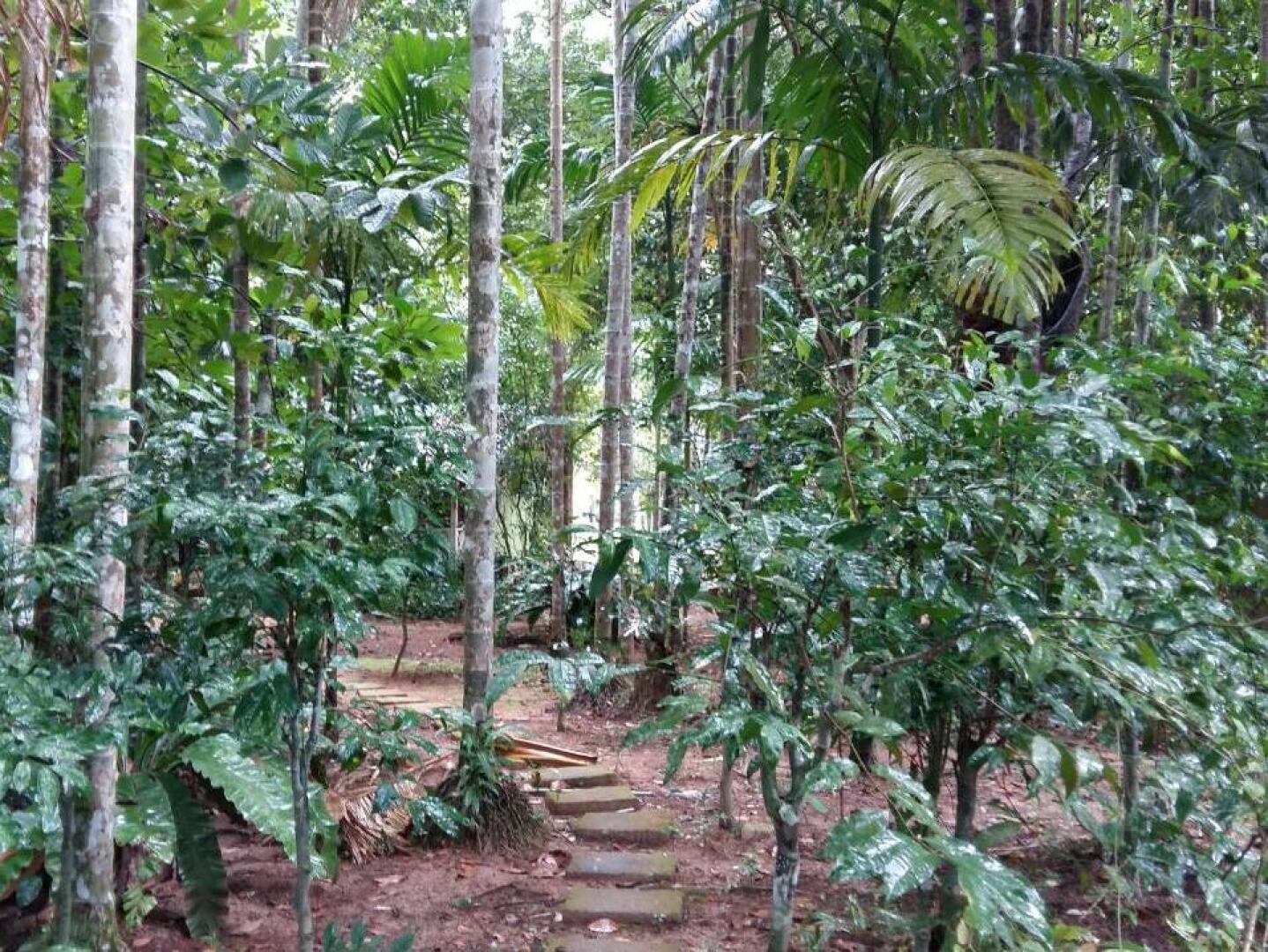 Sab Ananta Resort @ Ratchakrud Ranong