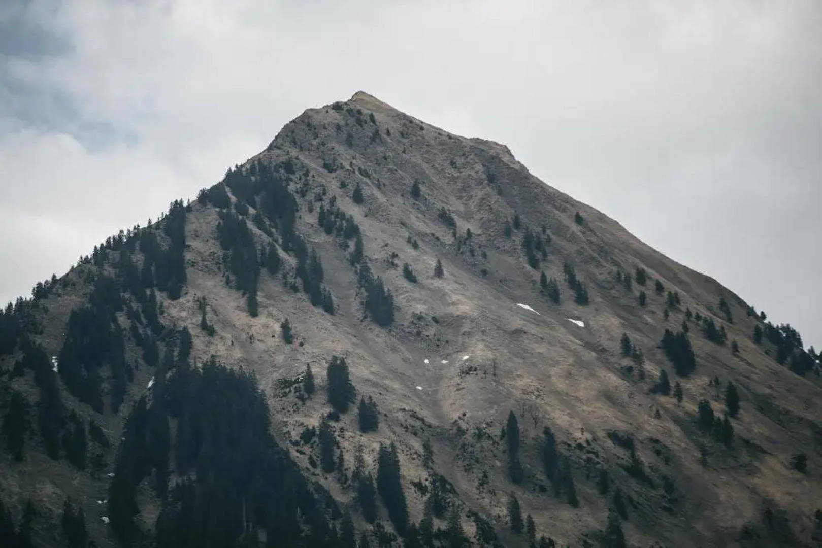 Ferienbauernhof Nigsch