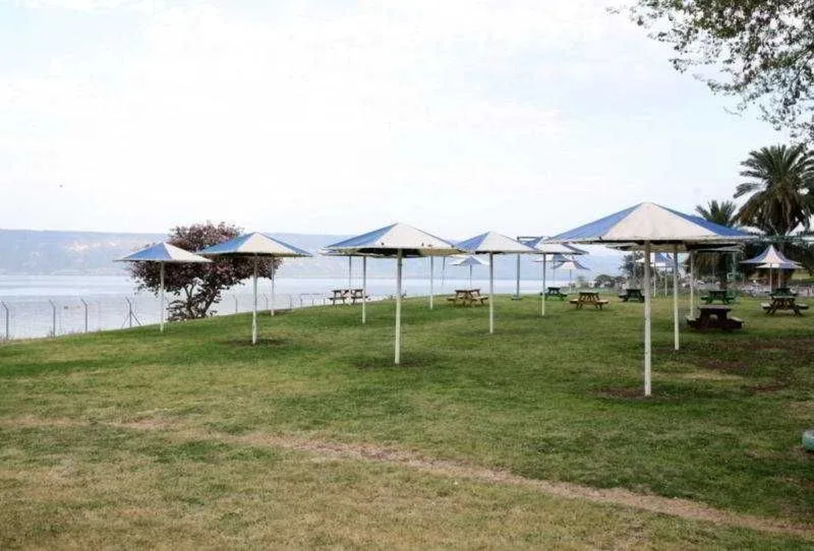 Rimonim Mineral Tiberias