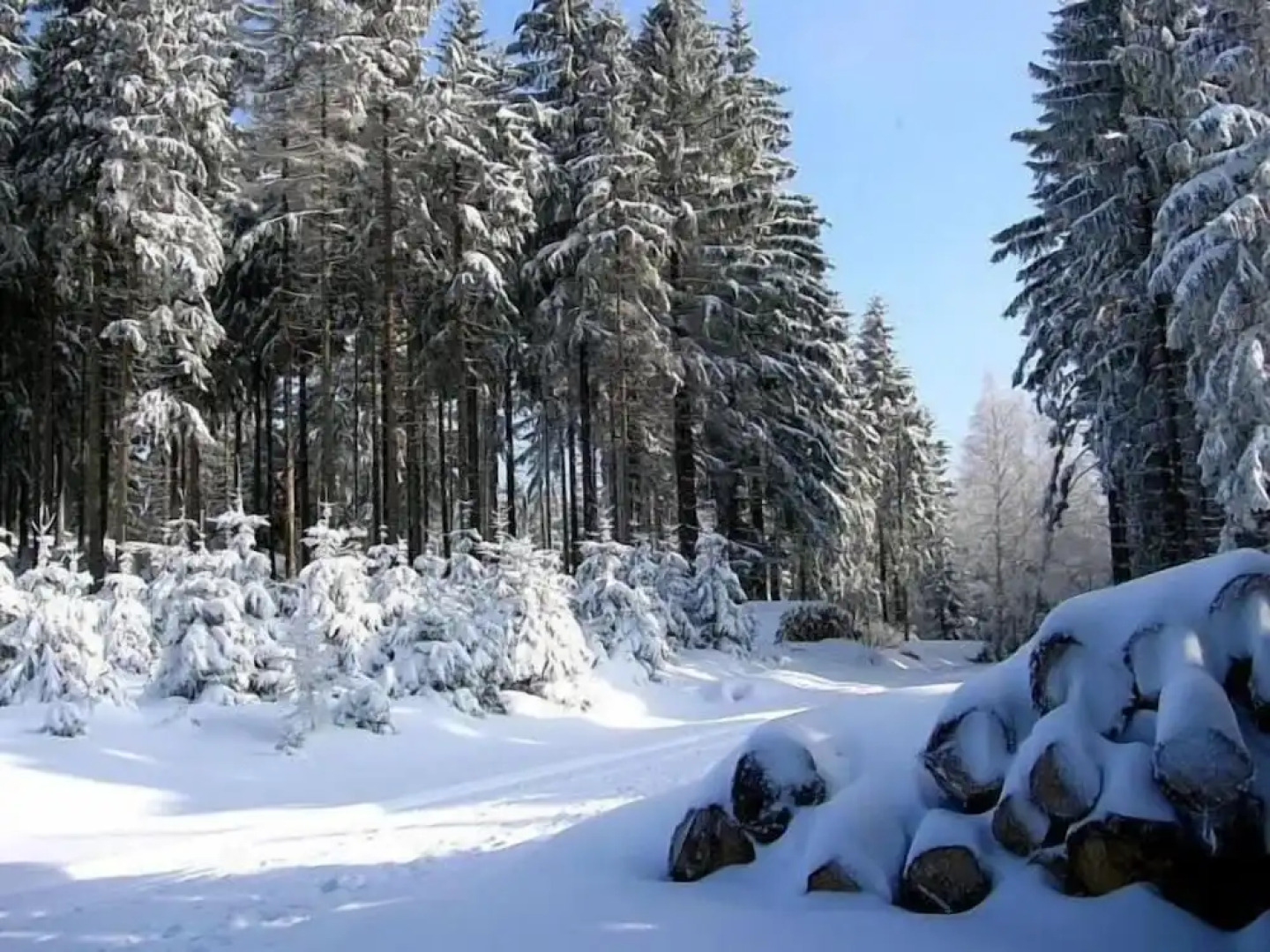 Hotel Zum Schneekopf