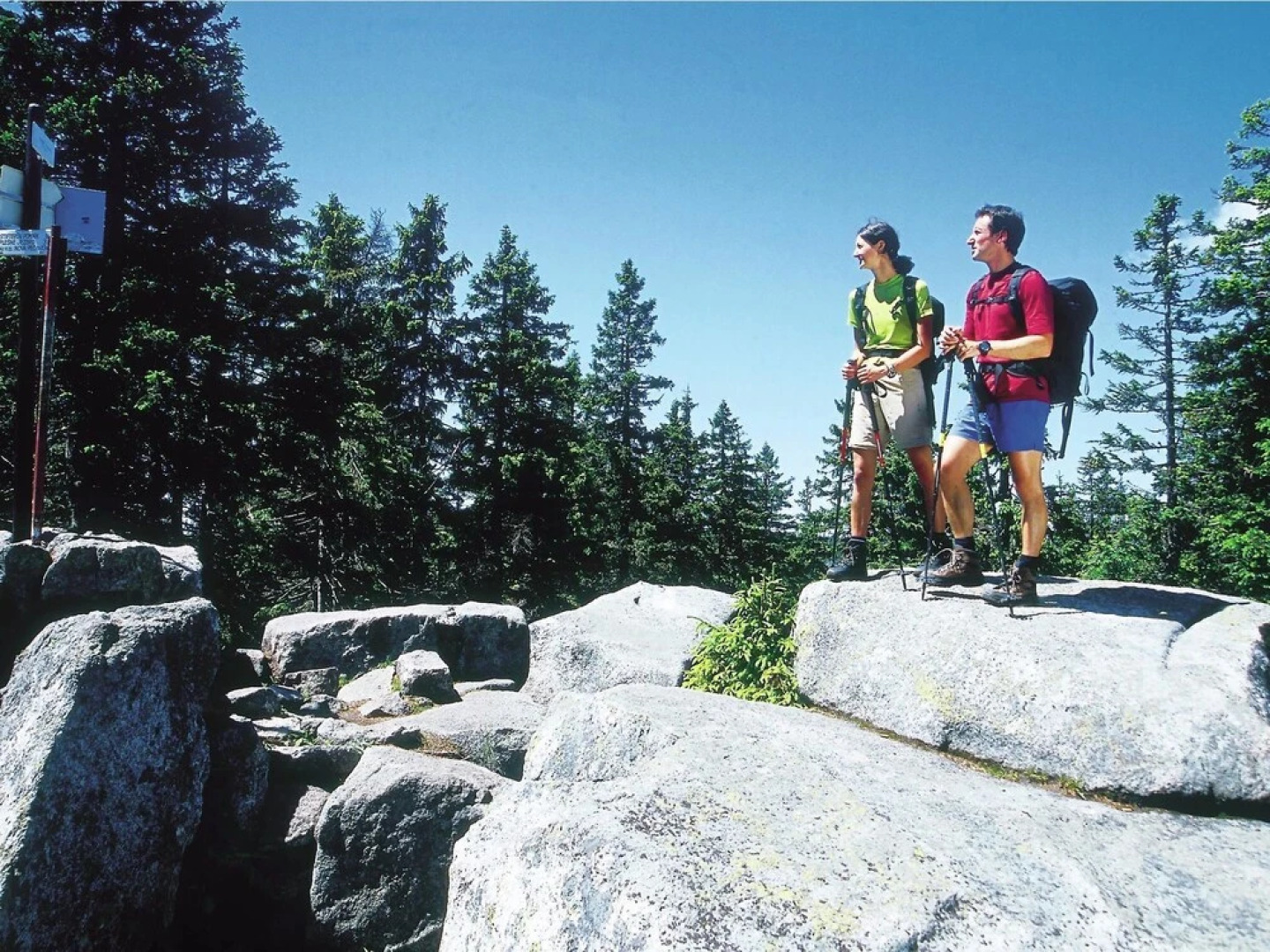 Luxurious Apartment in Gosau Near Ski Area