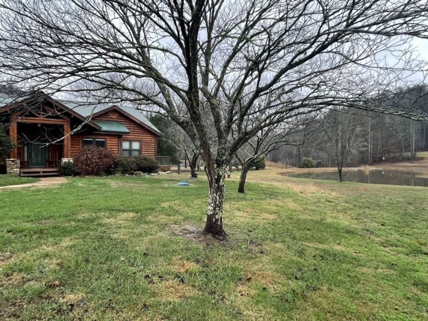 Deluxe log cabin! Pet and motorcycle friendly - enjoy nature with family and friends! 3 Bedroom Cabin by RedAwning