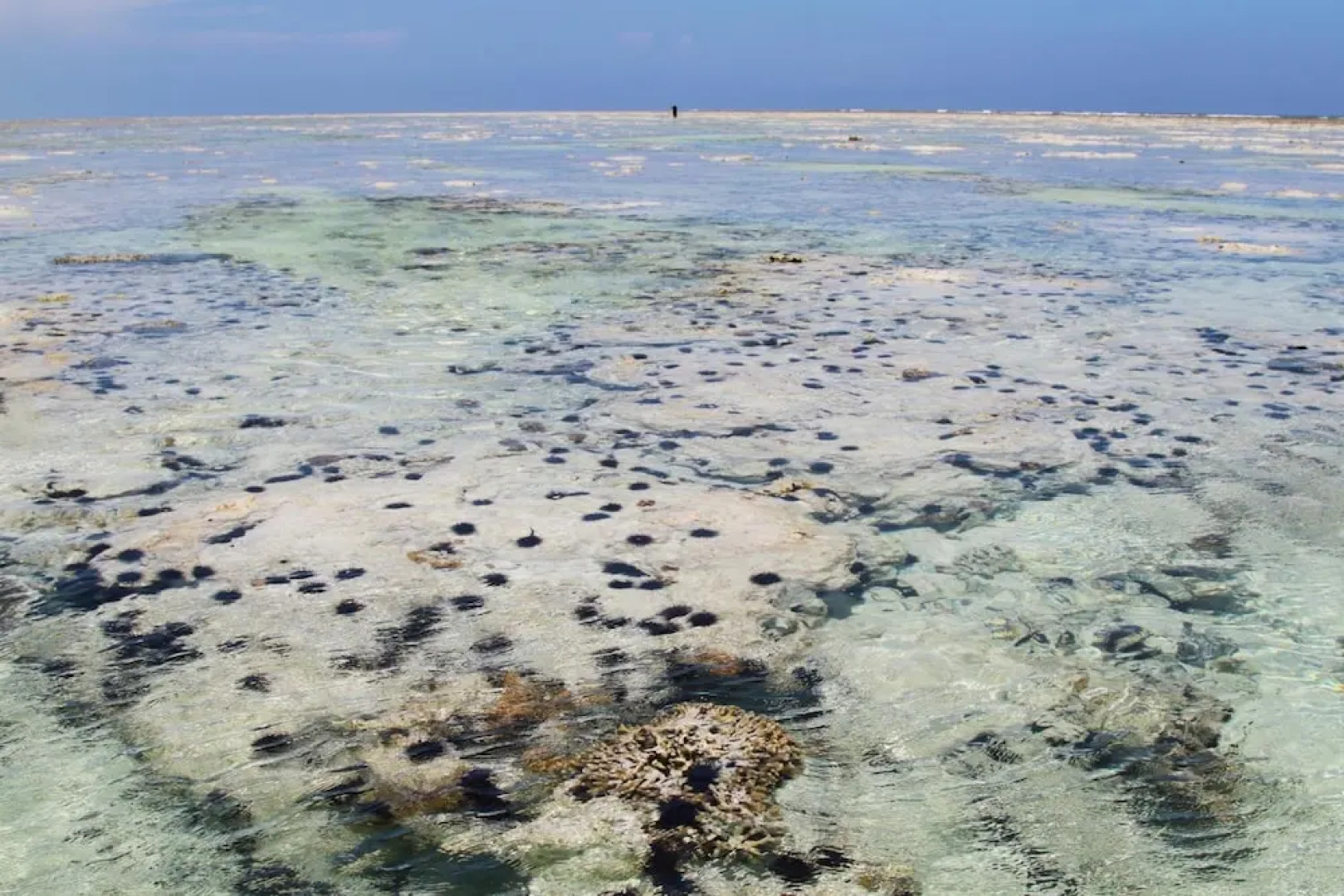 Ujamaa Beach Resort Zanzibar