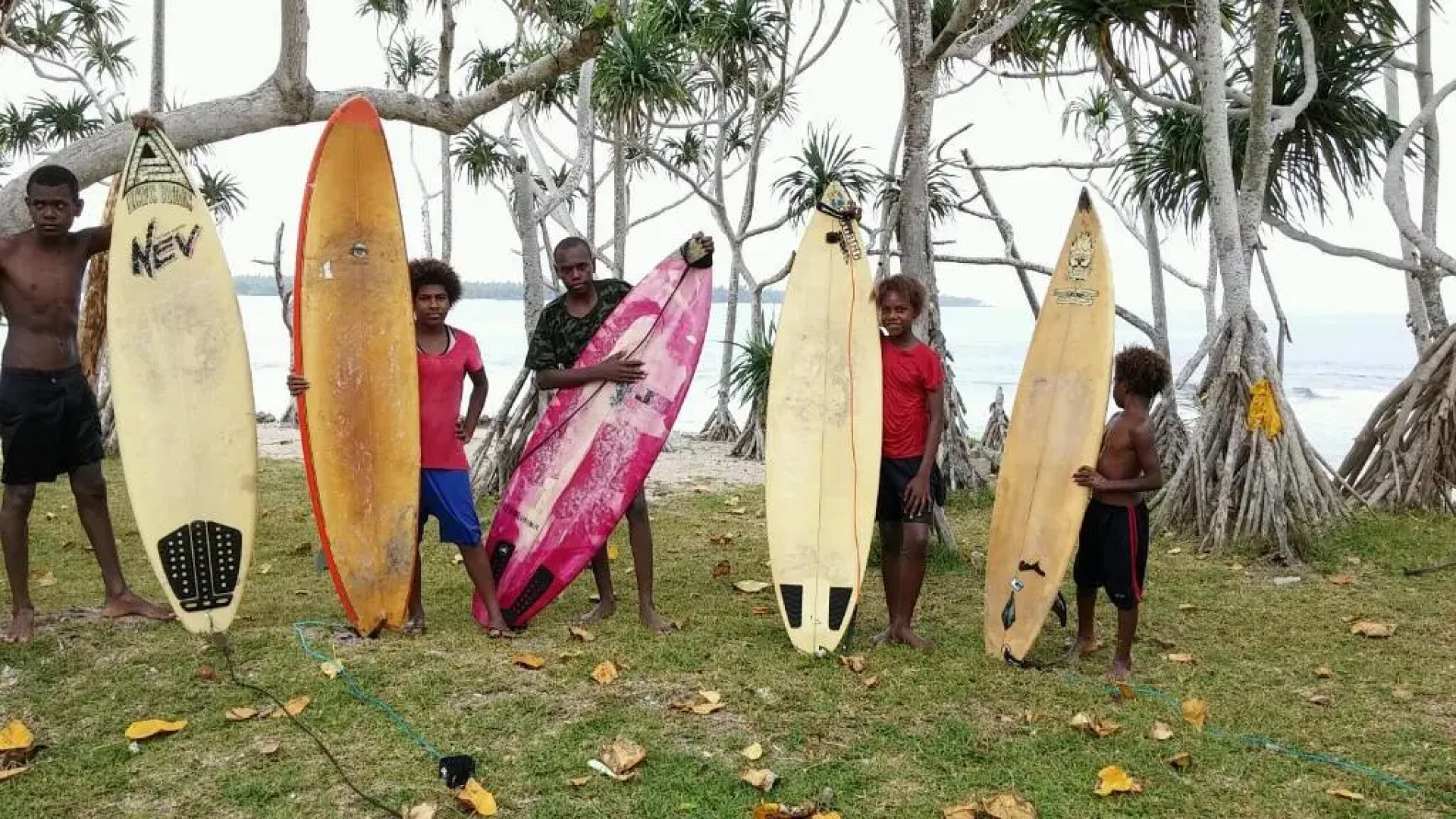 Bluepango Guest House - Hostel