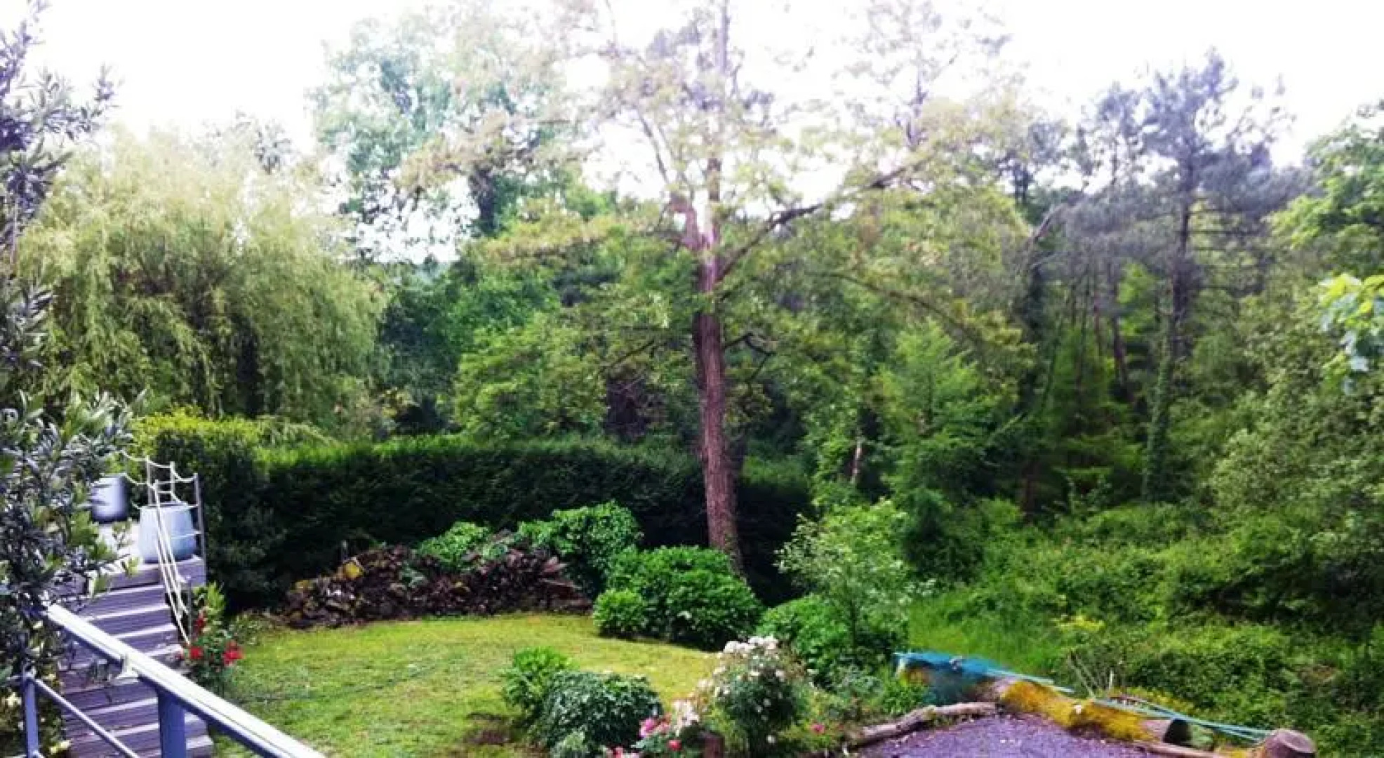 Villa aux Canards Sauvages