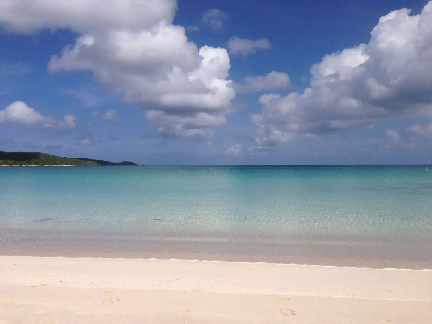 Dolphin Tower Apartment