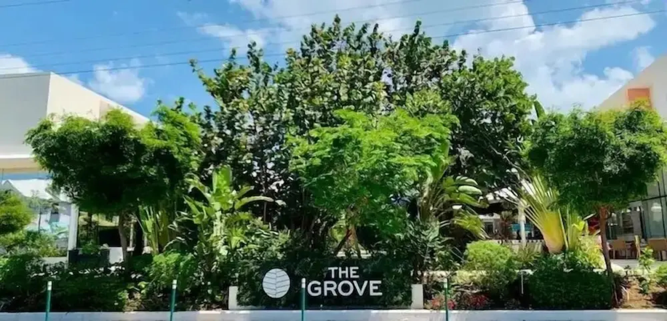 The Grove