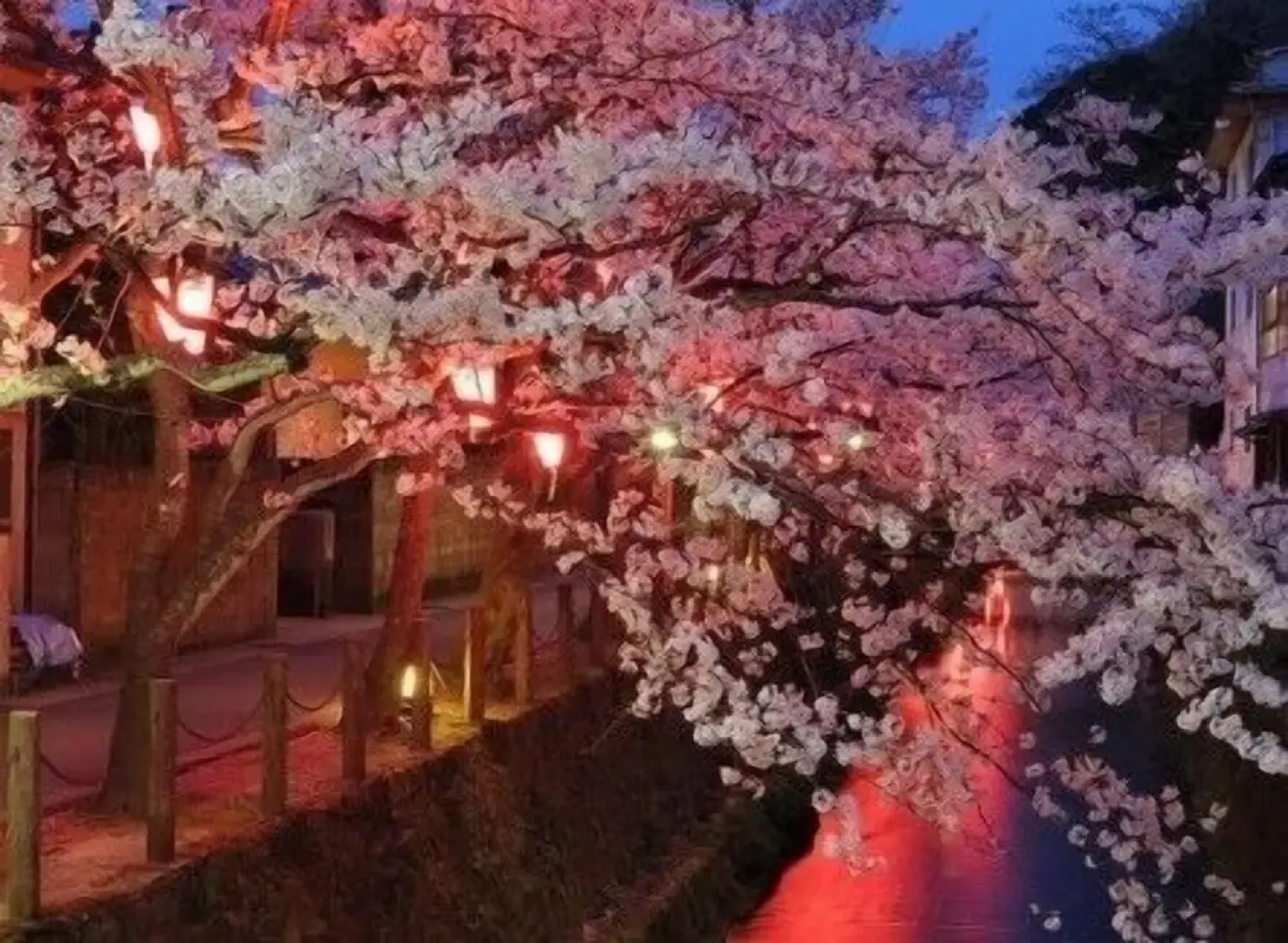 Kinosaki THE CRAB HOUSE KANIAN