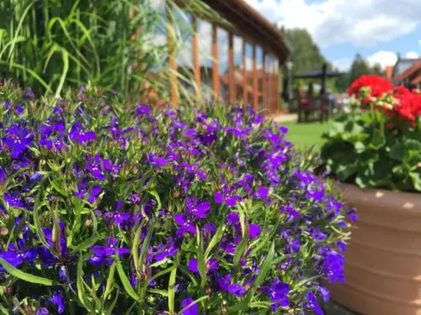 Hotel Slunecna Louka