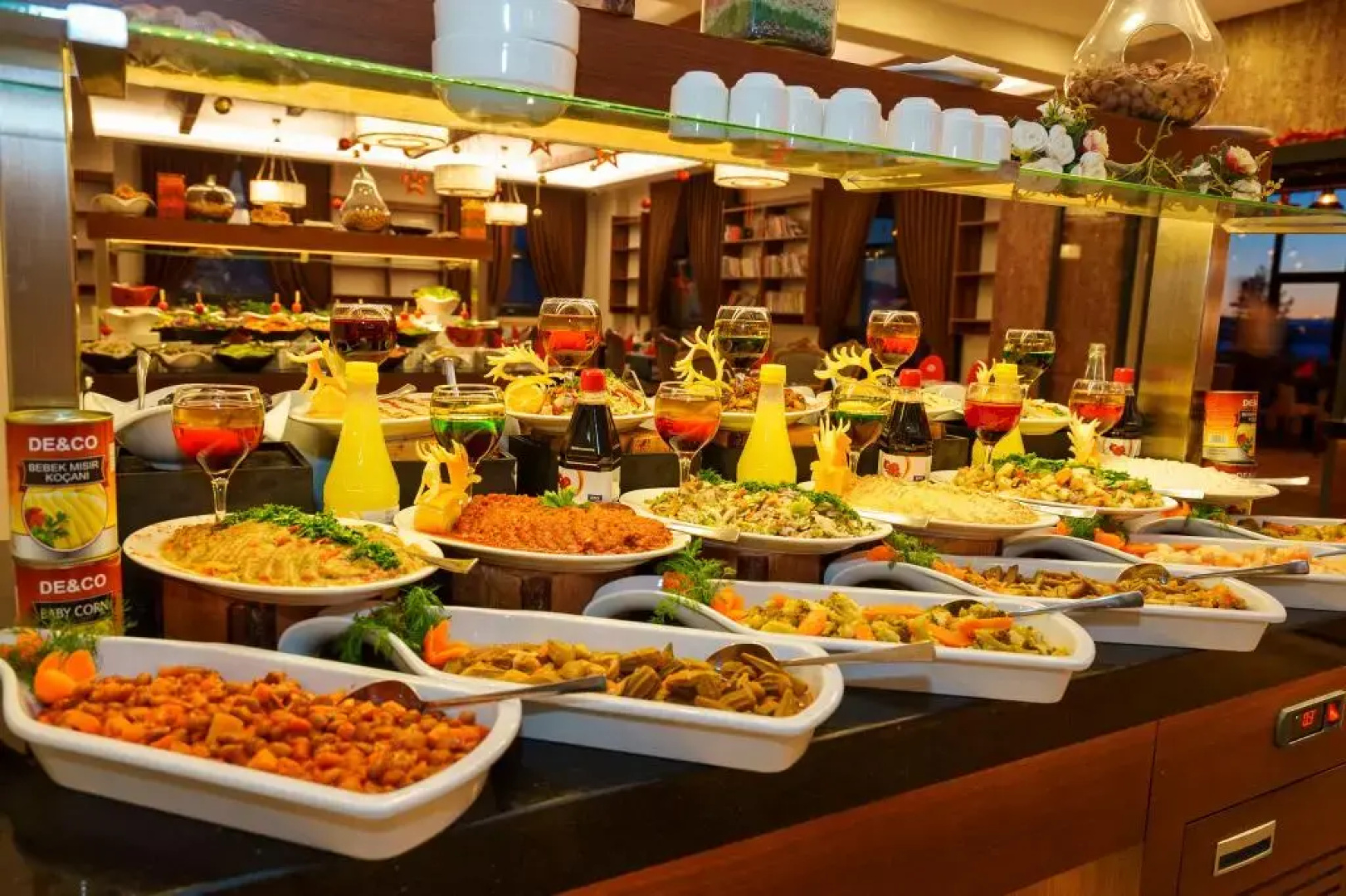 Library Hotel Erciyes