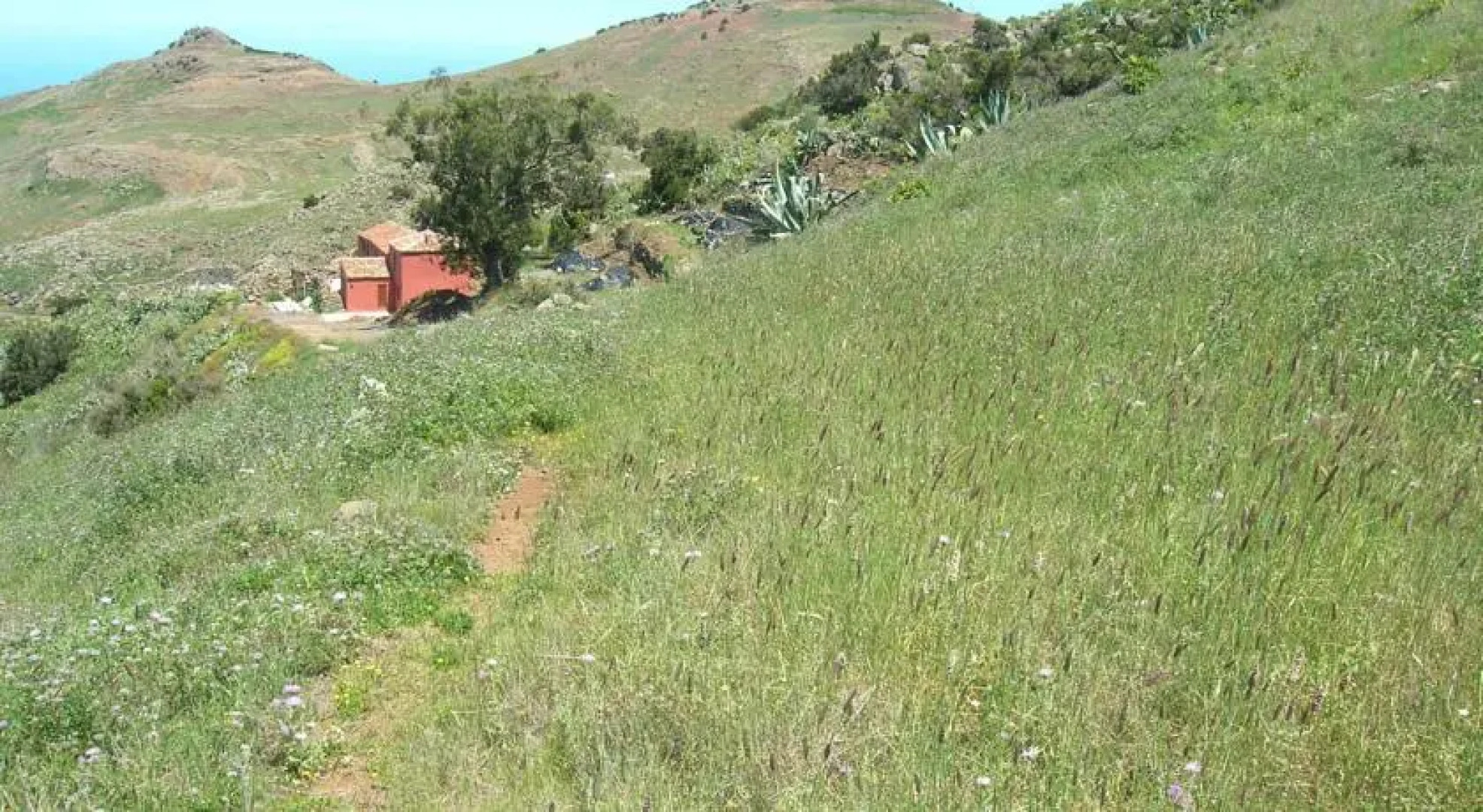 Buenavista Apartaments