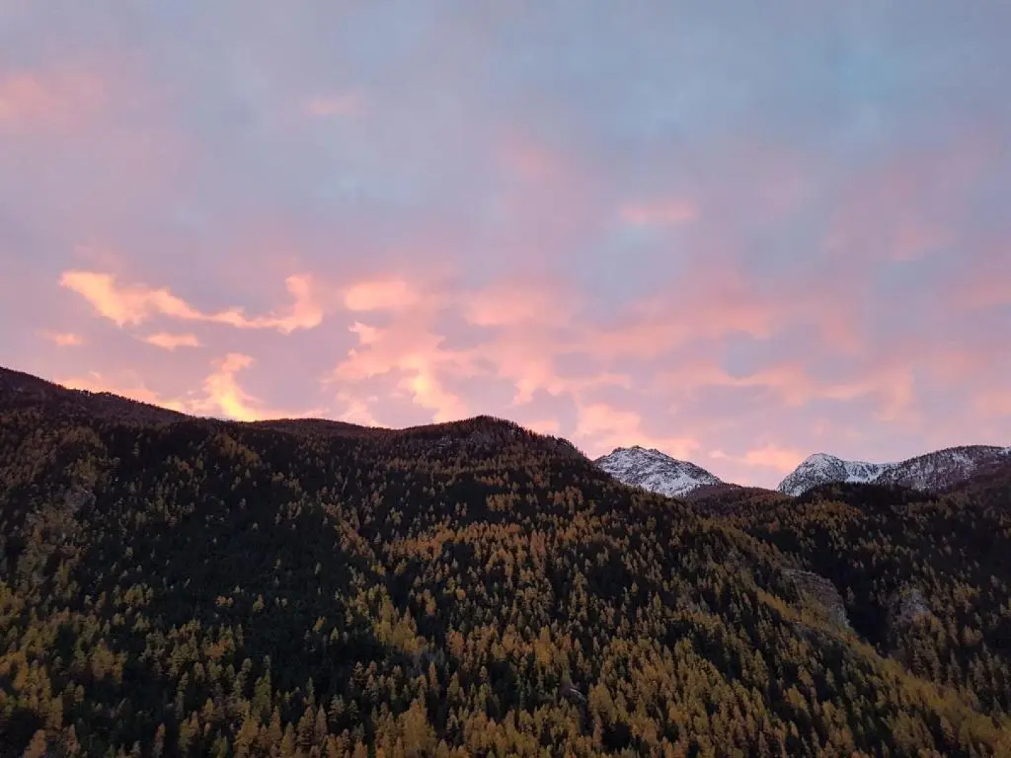 Roberta Apartments Valpelline