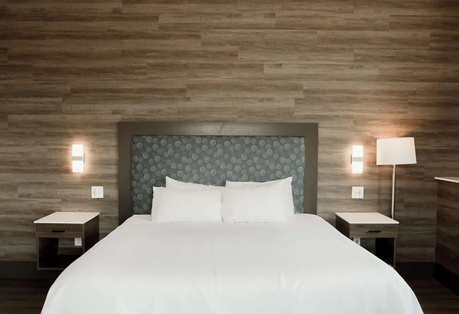 The Oread Lawrence, Tapestry Collection by Hilton