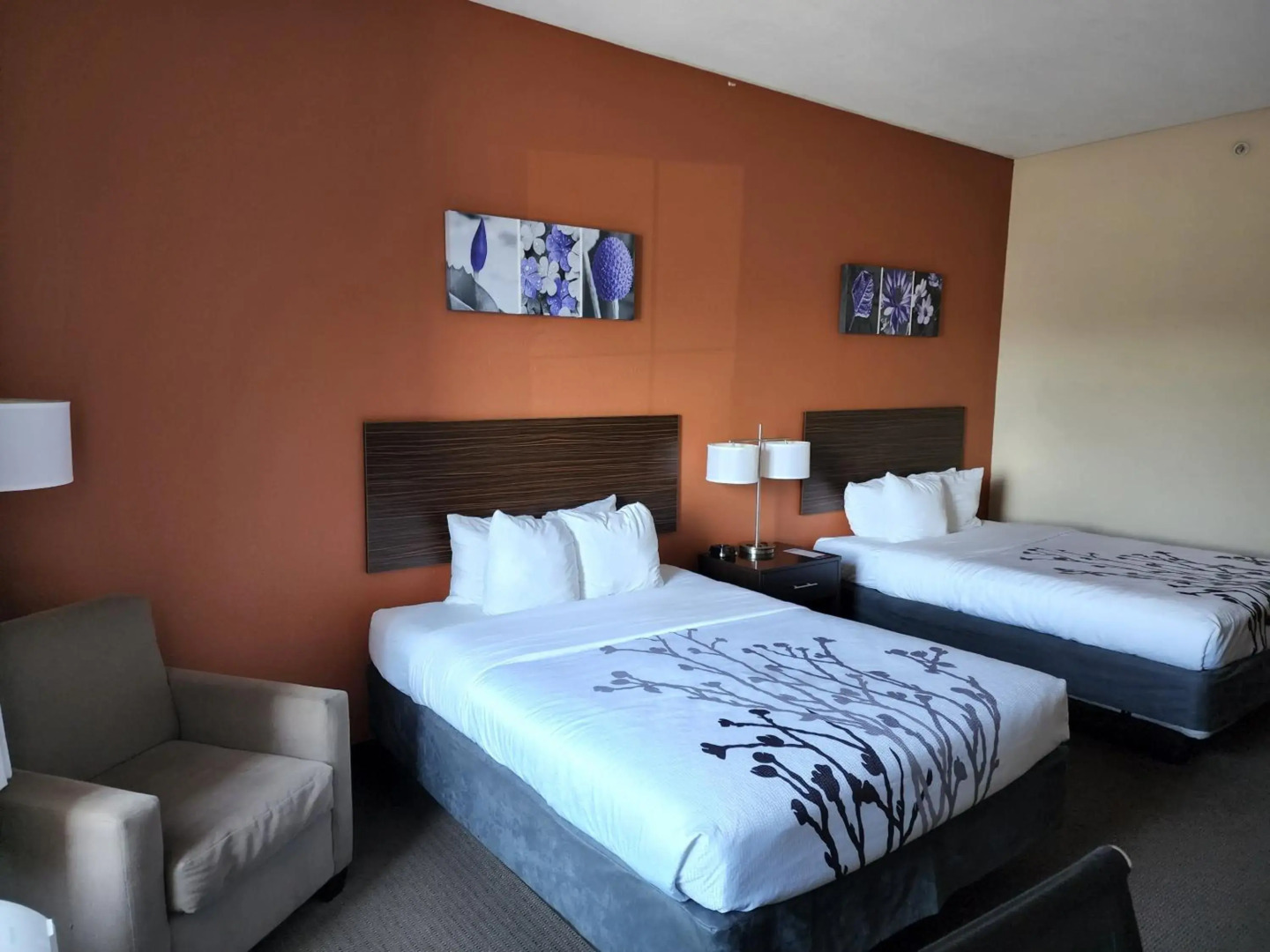 Sleep Inn & Suites Dyersburg I-155