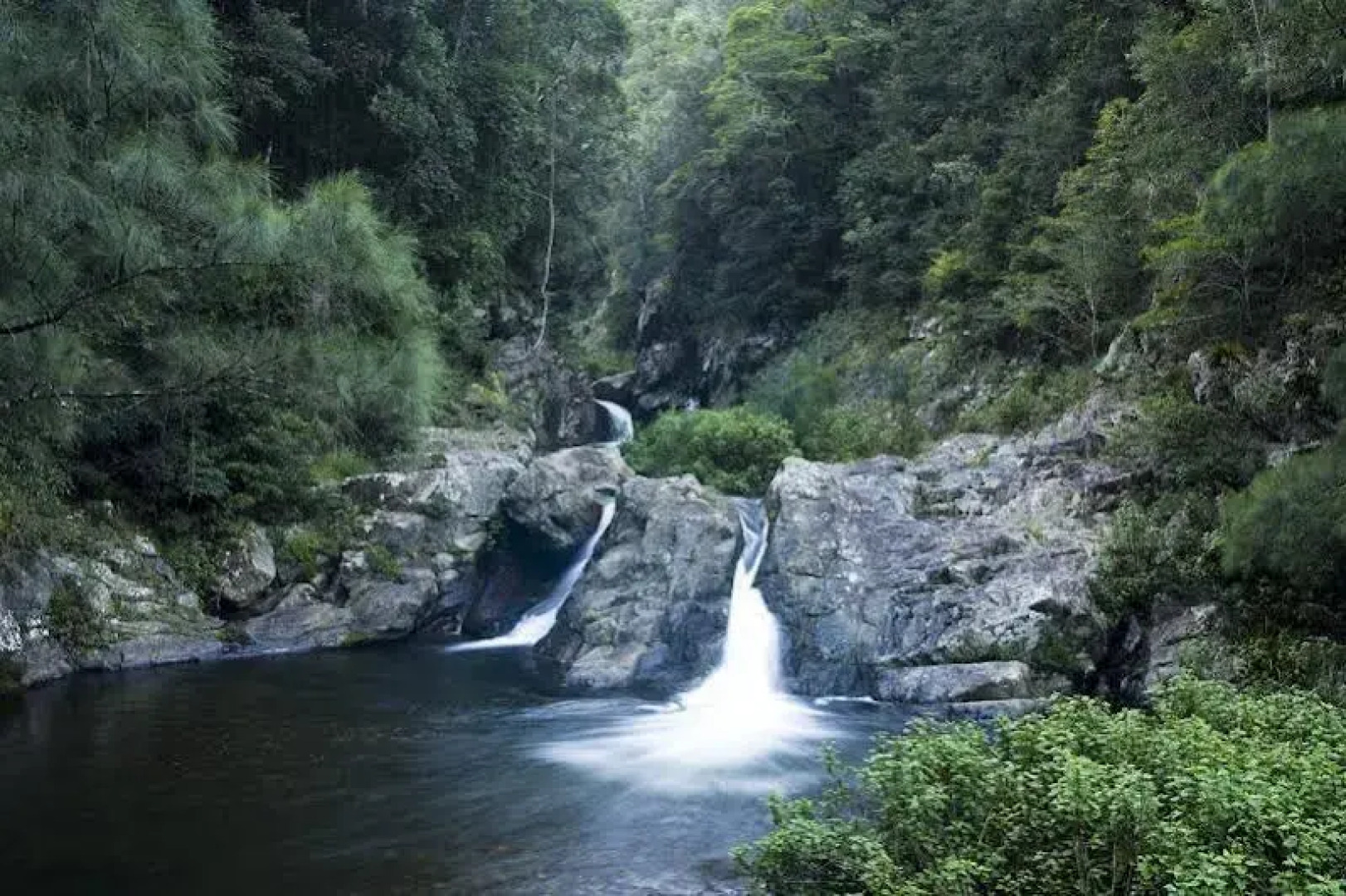 The Tops Organic Retreat