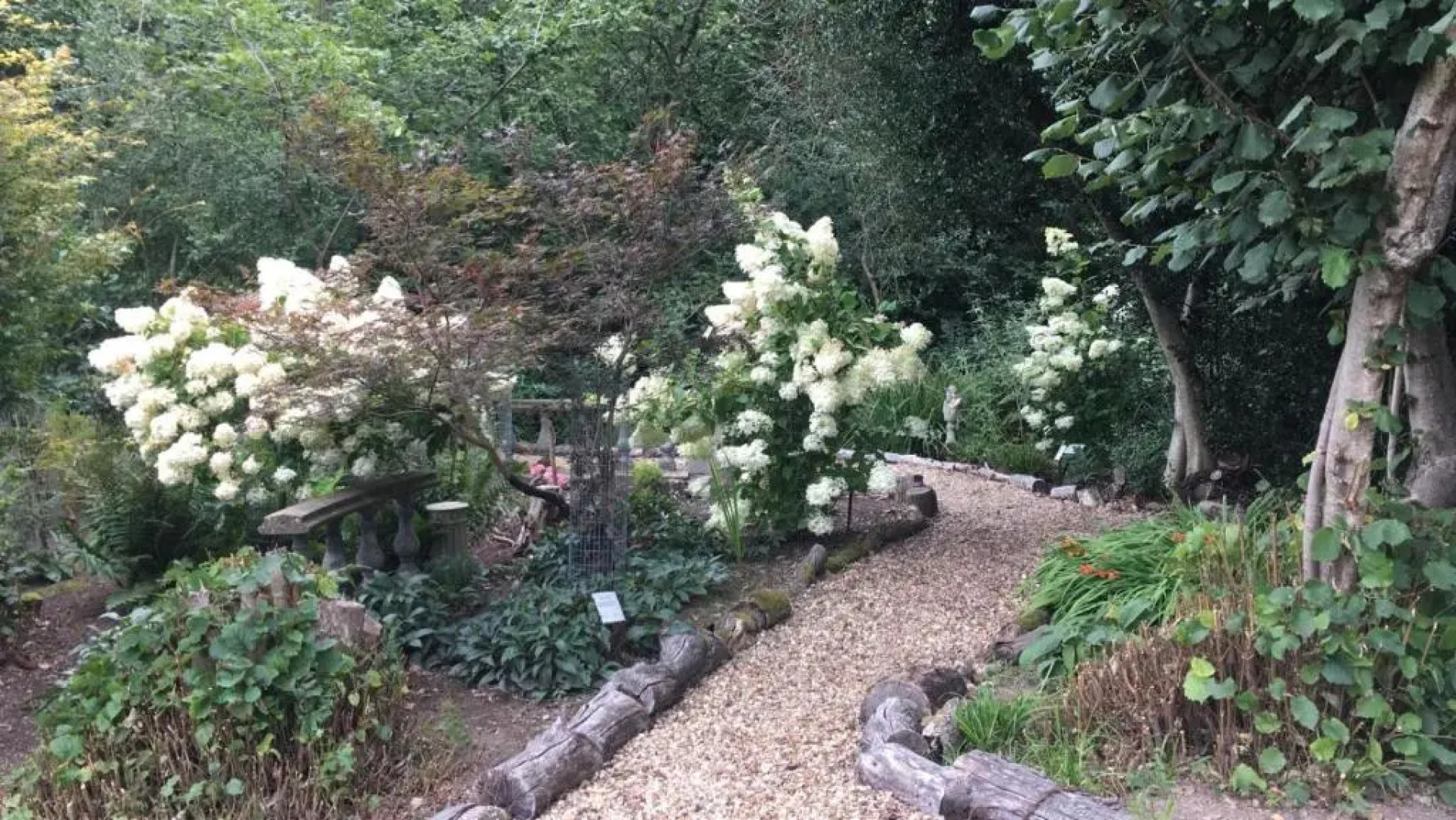 The Garth Guest Suite Studio Cottage