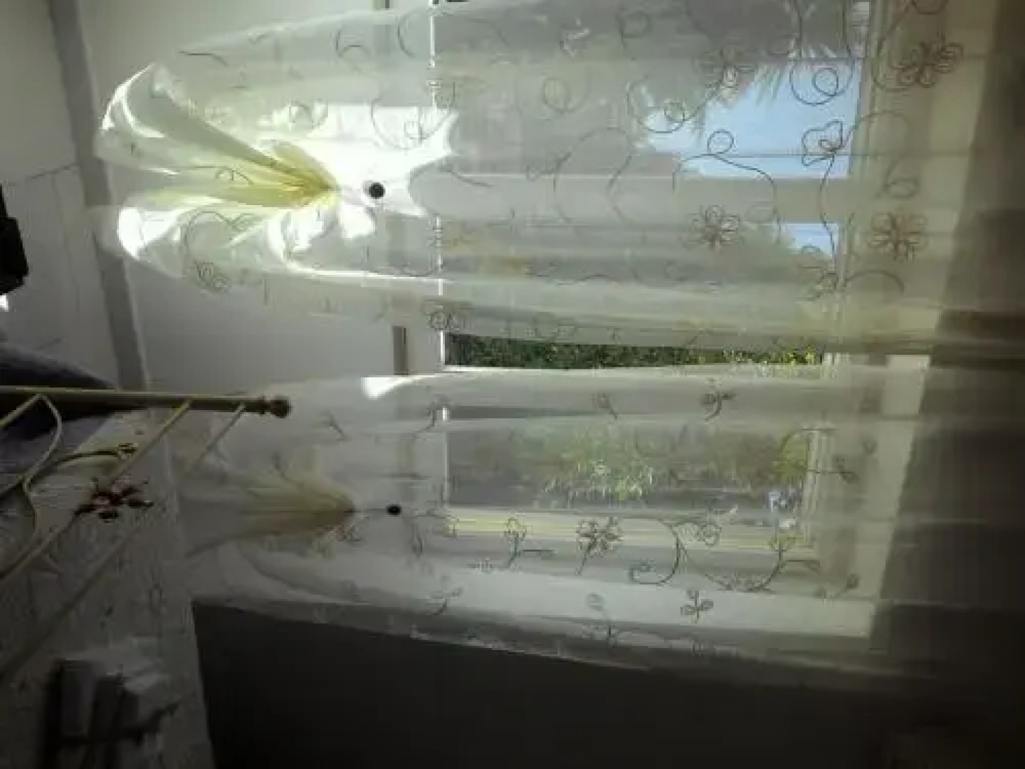 B&B L'Oasi dei Sogni